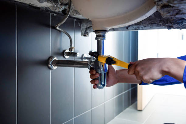 Best Plumbing System Maintenance  in East Flat Rock, NC